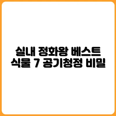 공기 정화 효과 좋은 실내 식물 베스트 7