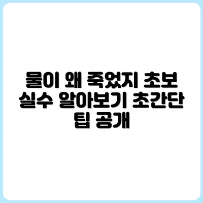 물을 줬는데 왜 죽을까? 초보자가 자주 하는 실수