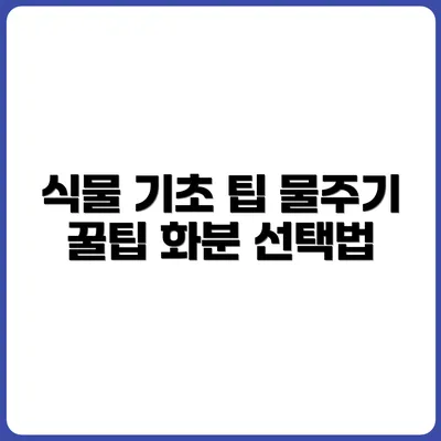 물주기 주기부터 화분 고르기까지: 왕초보 식물 키우기 팁