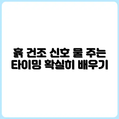흙이 마르면 무조건 물? 물주기 타이밍 제대로 알기