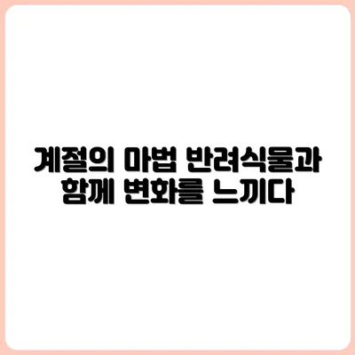 반려식물 덕분에 알게 된 계절의 변화