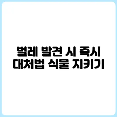반려식물에 벌레 생겼을 때 대처법 총정리