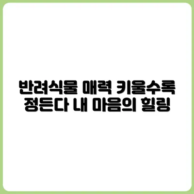 키울수록 정든다, 반려식물의 매력에 빠진 이야기