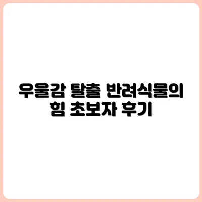 반려식물로 우울감 극복하기 (초보자 후기 기반)