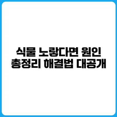 반려식물 잎이 노래졌다면? 원인과 해결법