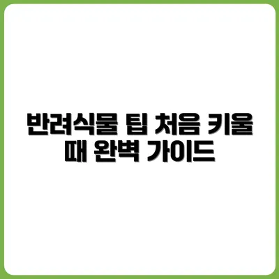 반려식물 처음 키울 때 꼭 알아야 할 5가지