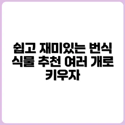 번식도 쉬운 식물 추천: 한 개 사서 여러 개로!