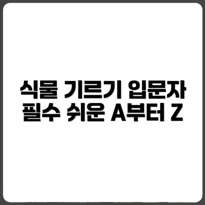 식물 키우기 완전 처음이라면? 입문자를 위한 A to Z