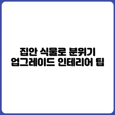 식물로 집 분위기 바꾸기! 인테리어 식물 추천