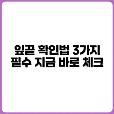 잎 끝이 마를 때 확인해야 할 3가지 체크포인트