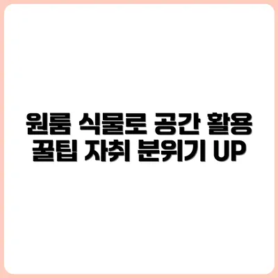 좁은 원룸에 어울리는 공간 활용 식물 7가지