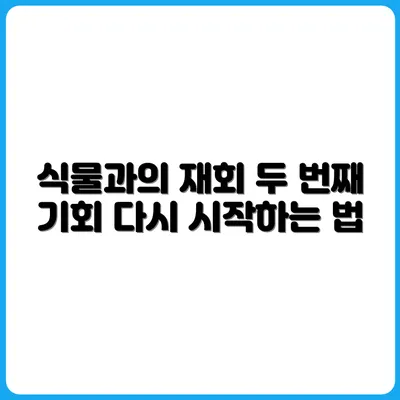 처음 죽인 식물, 그리고 두 번째 만남