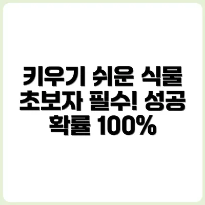 초보자가 키우기 실패하기 어려운 식물 TOP 5