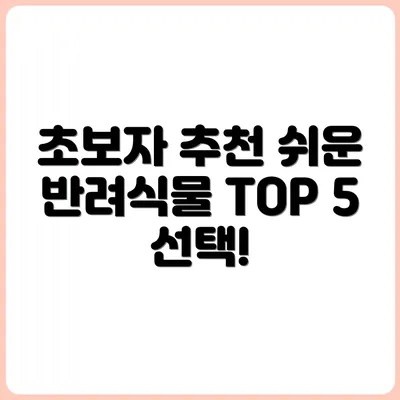 초보자에게 딱! 키우기 쉬운 반려식물 TOP 5