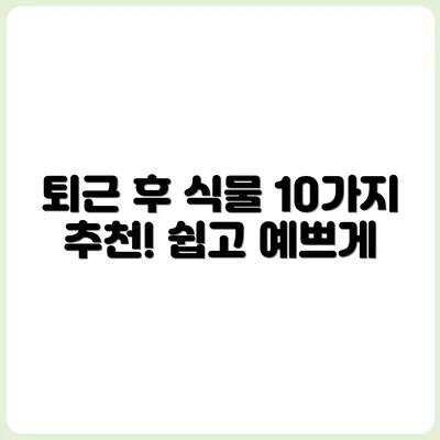 퇴근 후 관리 가능한 반려식물 추천 10가지