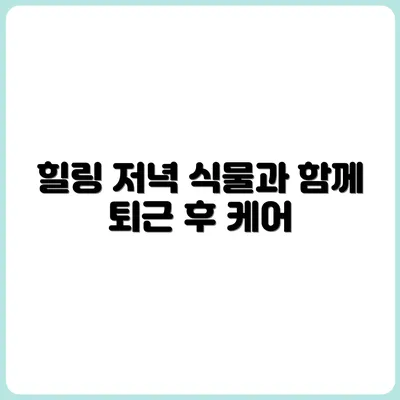 퇴근 후 힐링 루틴: 식물과 함께하는 저녁