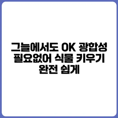 햇빛 없어도 잘 자라는 식물 추천 리스트