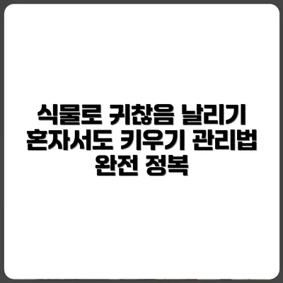 혼자 사는 자취생을 위한 식물 추천과 관리법
