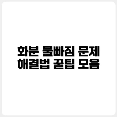 화분 속 물빠짐 안 될 때 대처법